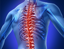 Spine Care